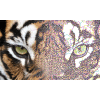Brother BE EmbroideryStudio-software model 4