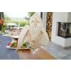 Brother PR1055ProX borduurvoorbeeld serviette